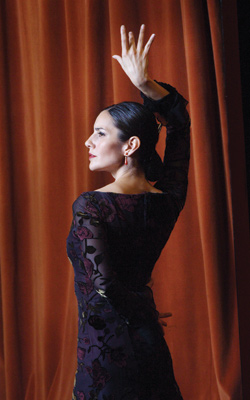 A Passion for Flamenco