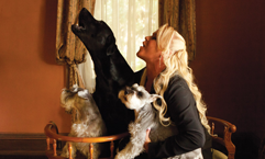 Lucky Dogs –Women & their dogs