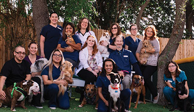 VitalPet Huebner Oaks Veterinary Hospital